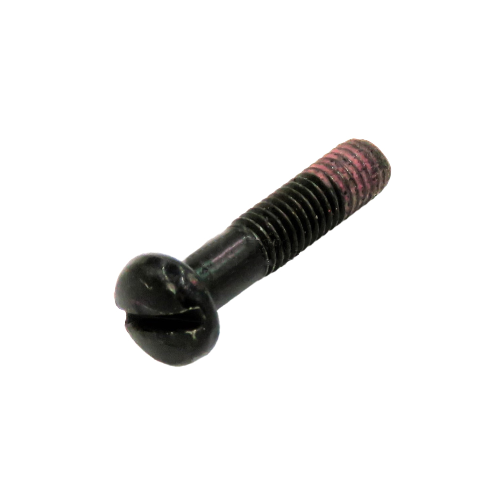 251466-9  สกรูหัวกลมนูน Pan Head Screw M5X22 (7) MT060