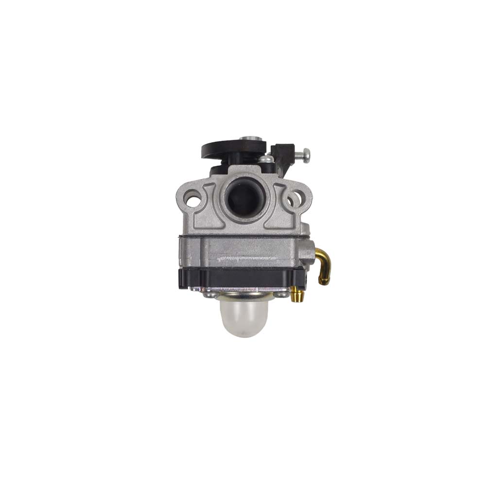 289885 BC200 Carburetor Assy