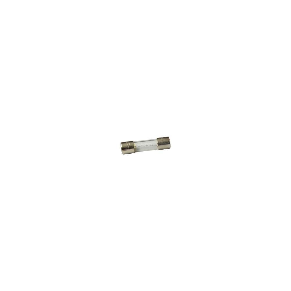 448891 Microfuse 5x20 2.0A Slow-Blowing (1/10pcs)